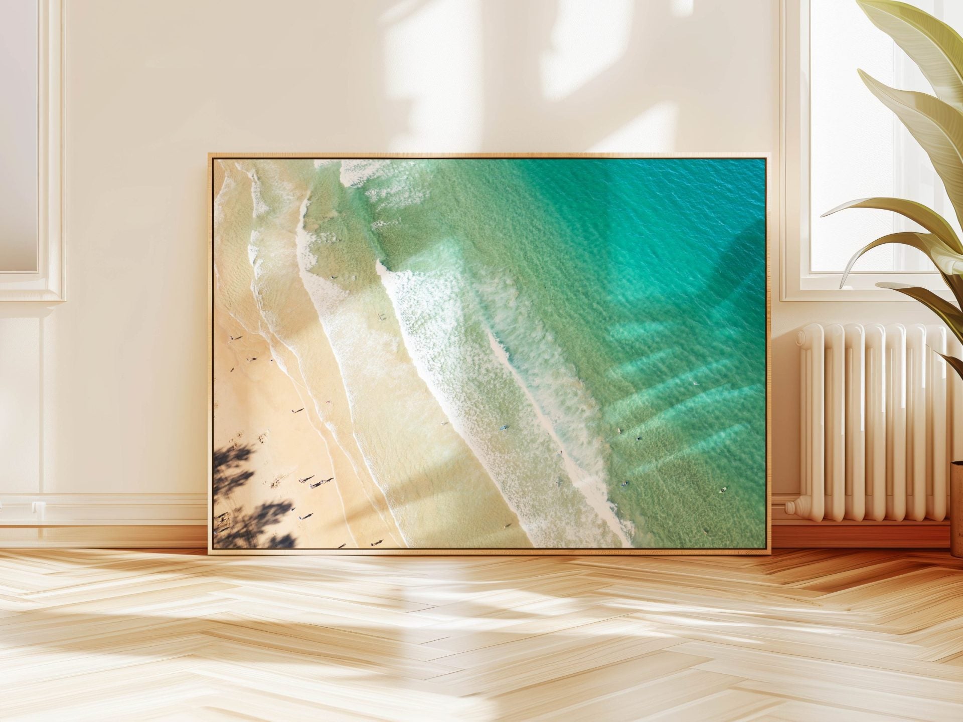 Aerial photograph of Manly Beach, Sydney hanging on a wall