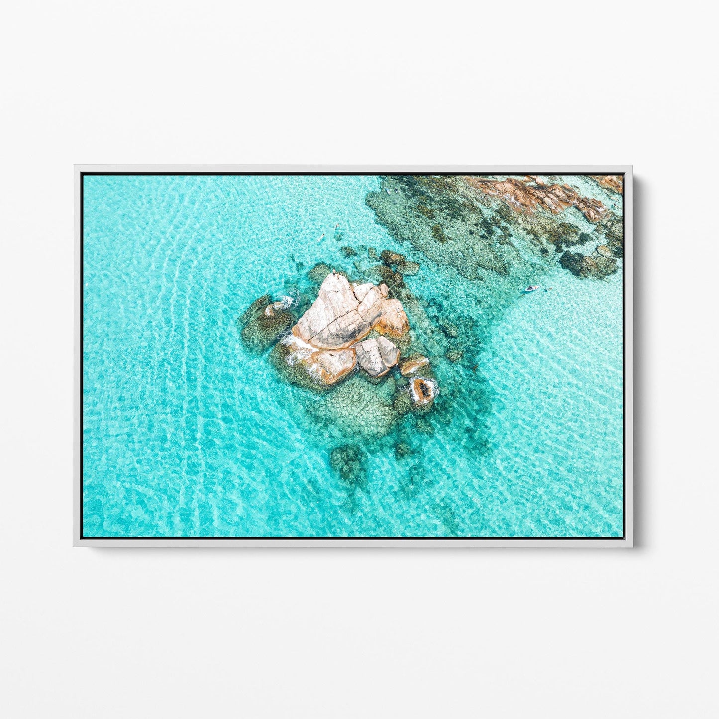 Gannet Rock white framed canvas