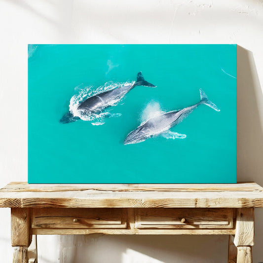 Snapper Rocks whales canvas wall art QLD