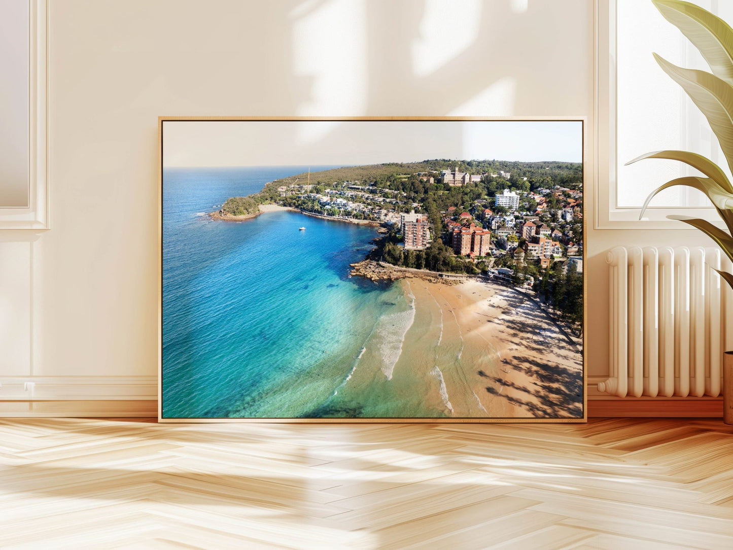 Aerial photograph of Manly Beach Sydney hanging on a wall