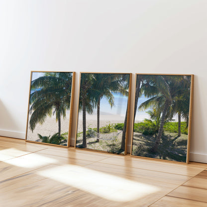 Fiji palm tree three piece canvas wall art