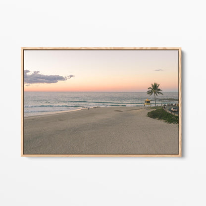 Rainbow Bay sunset palm oak framed canvas