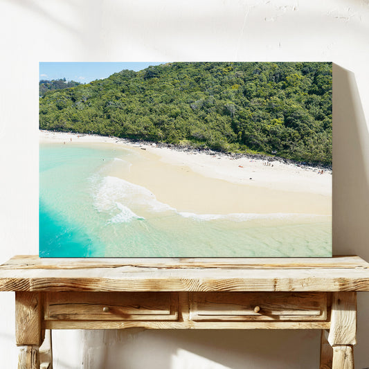 Tallebudgera Creek Bushland Canvas Print stretched canvas wall art