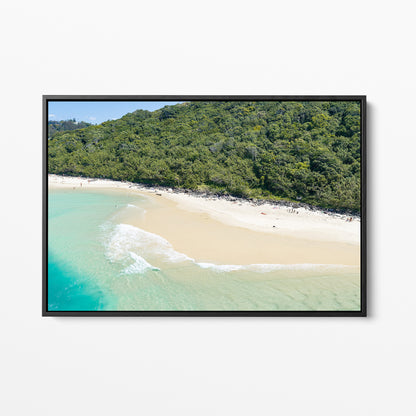 Tallebudgera Creek Bushland Canvas Print black framed canvas