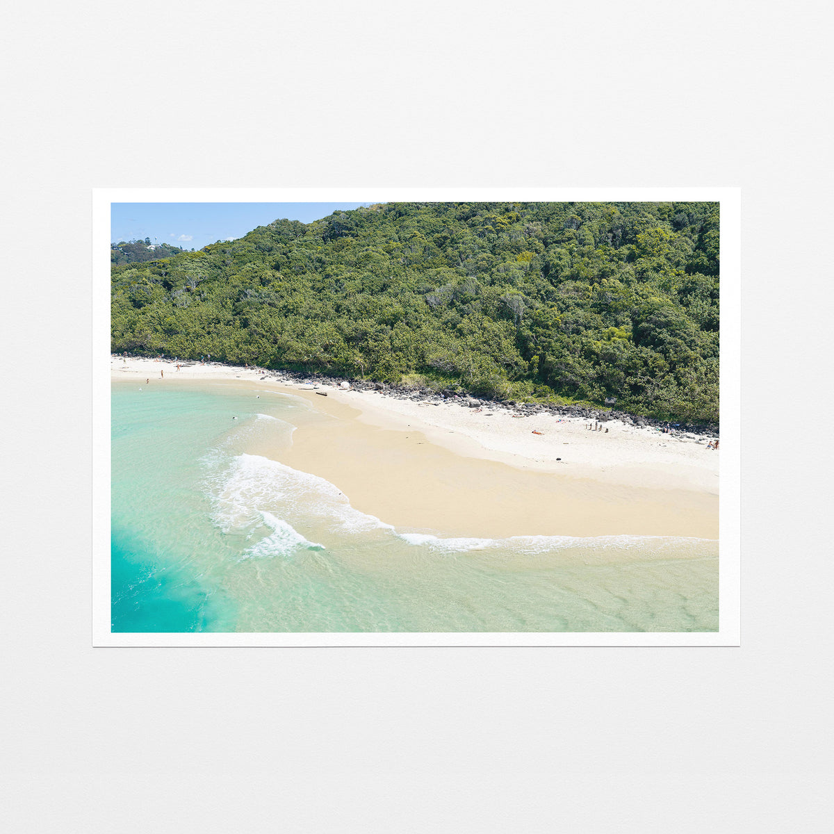 Tallebudgera Creek Bushland Canvas Print fine art paper print