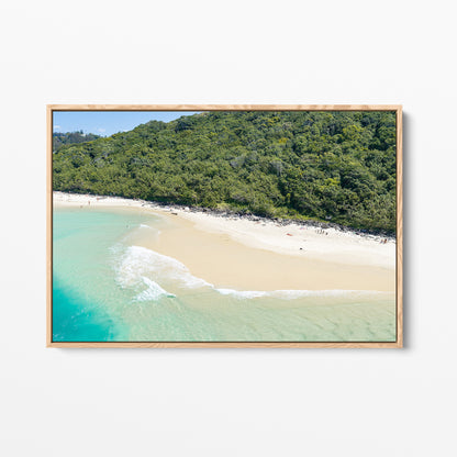 Tallebudgera Creek Bushland Canvas Print oak framed canvas